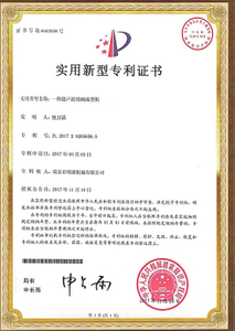 Patent-Certificate-1